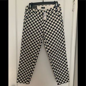 Navy off white cropped pant